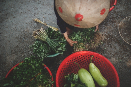 Vietnam