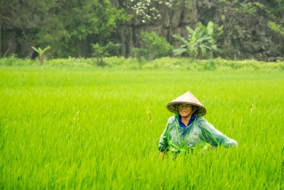 Sviluppo dell&rsquo;agricoltura familiare nel nord del Vietnam