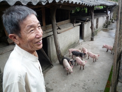 Salvaguardia della Foresta: a che punto siamo