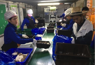 persone di Son Dong al lavoro in una fabbrica in Corea
