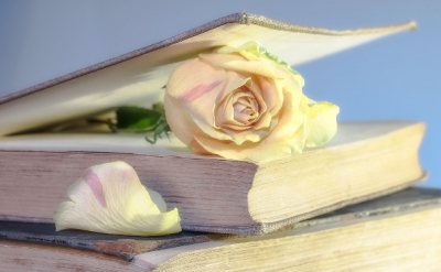Scopriamo i libri sul Vietnam: Fragile come un raggio di sole