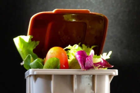 Lotta allo spreco alimentare: il punto nel mondo e in Trentino