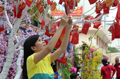 Ch&uacute;c mừng năm mới 2019! Diamo il benvenuto all&rsquo;Anno del Maiale