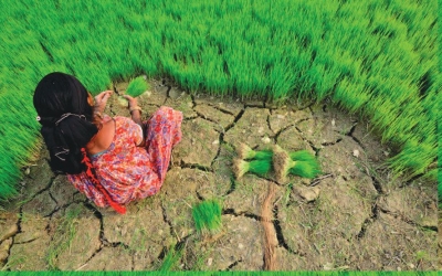 La Carta di Trento - Cooperazione e cambiamento climatico