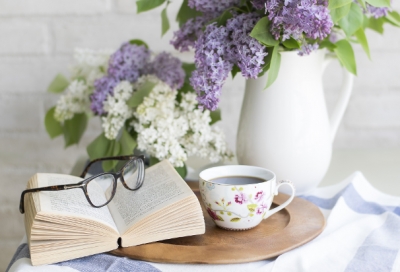 Scopriamo i libri sul Vietnam: Việt Nam