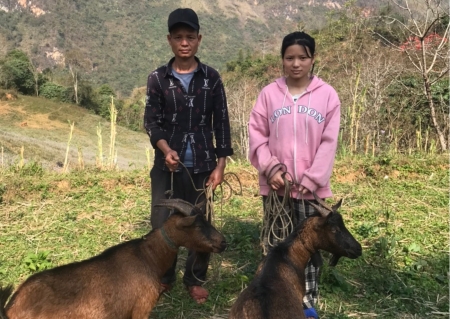 Distribuzione di sementi, animali e materiali scolastici per il progetto POEMA