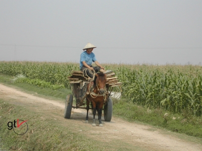 IFAD e Vietnam per le famiglie rurali