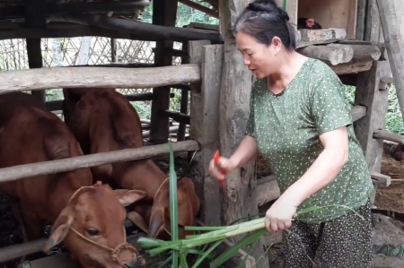 Testimonianze dal progetto Agrifam